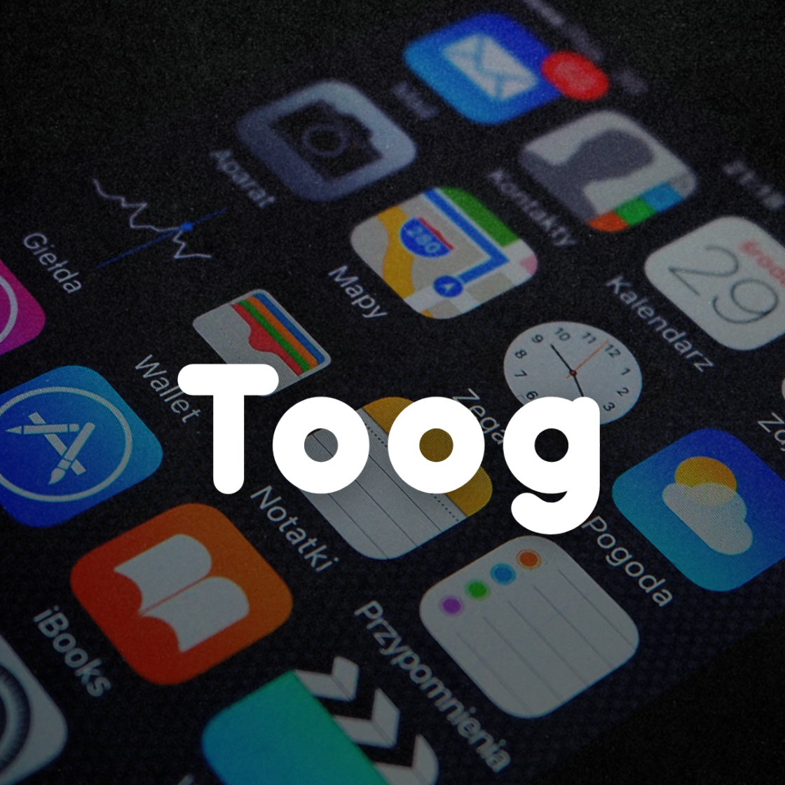 Toog